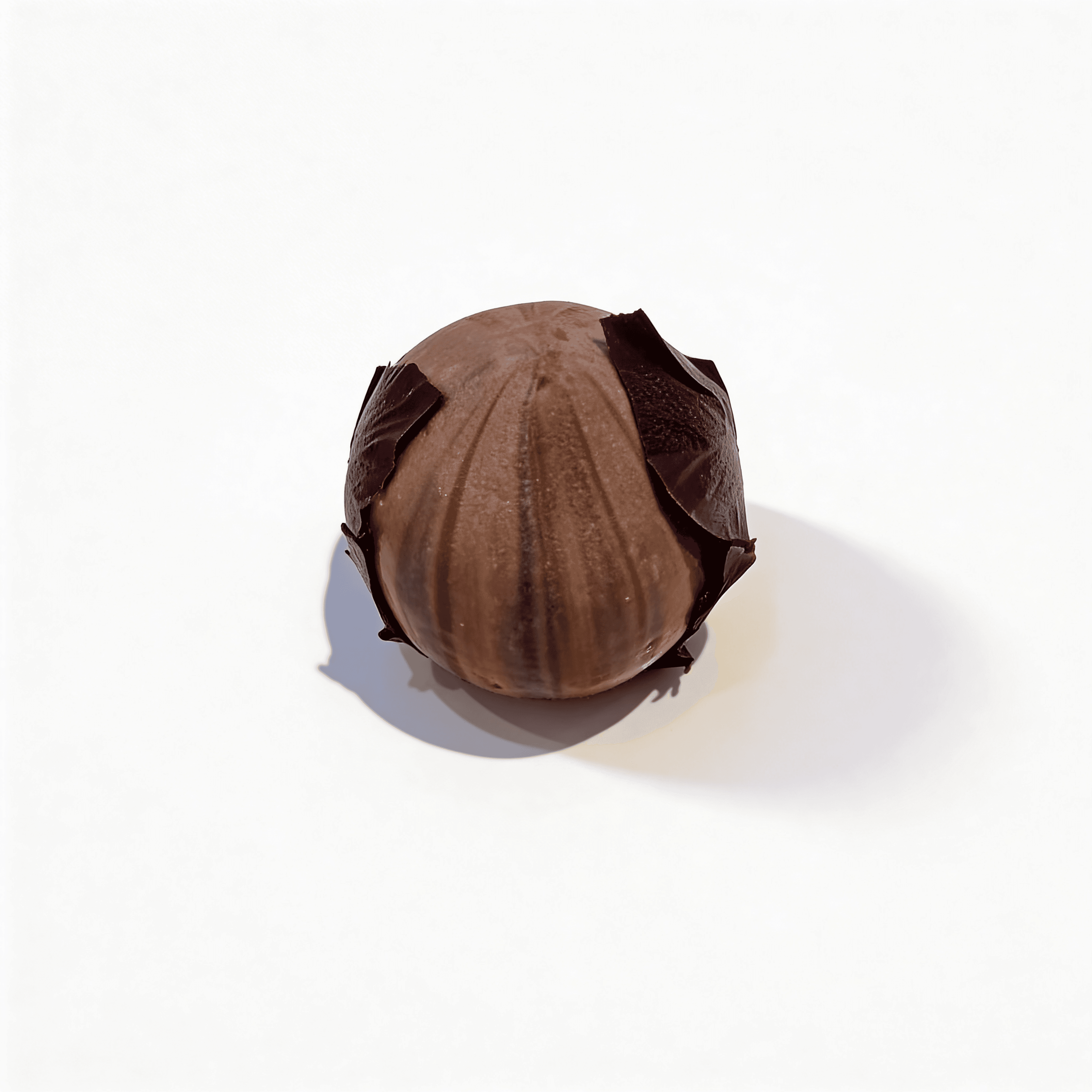 Trompe l'œil noisette