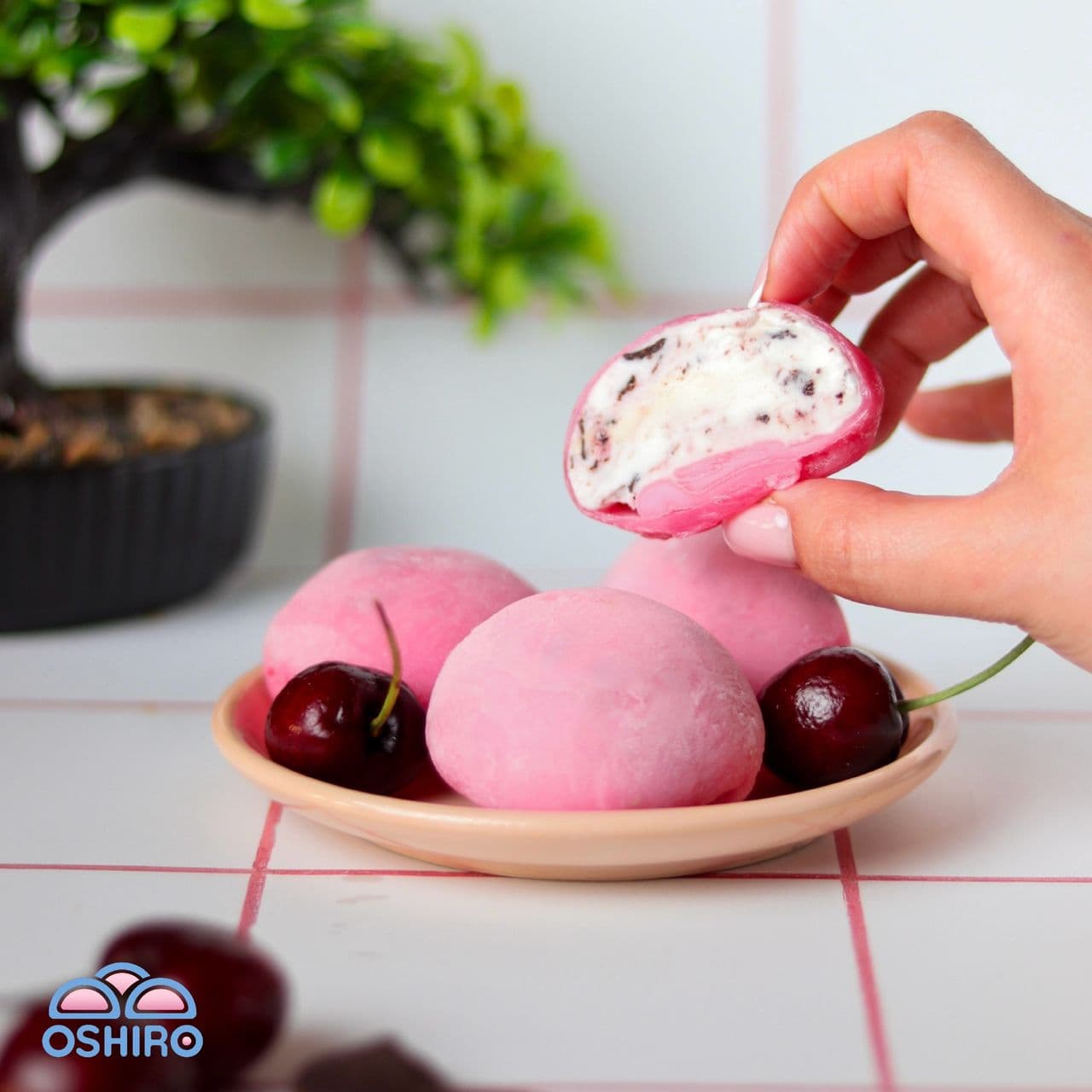 Mochi Cerise Cheesecake