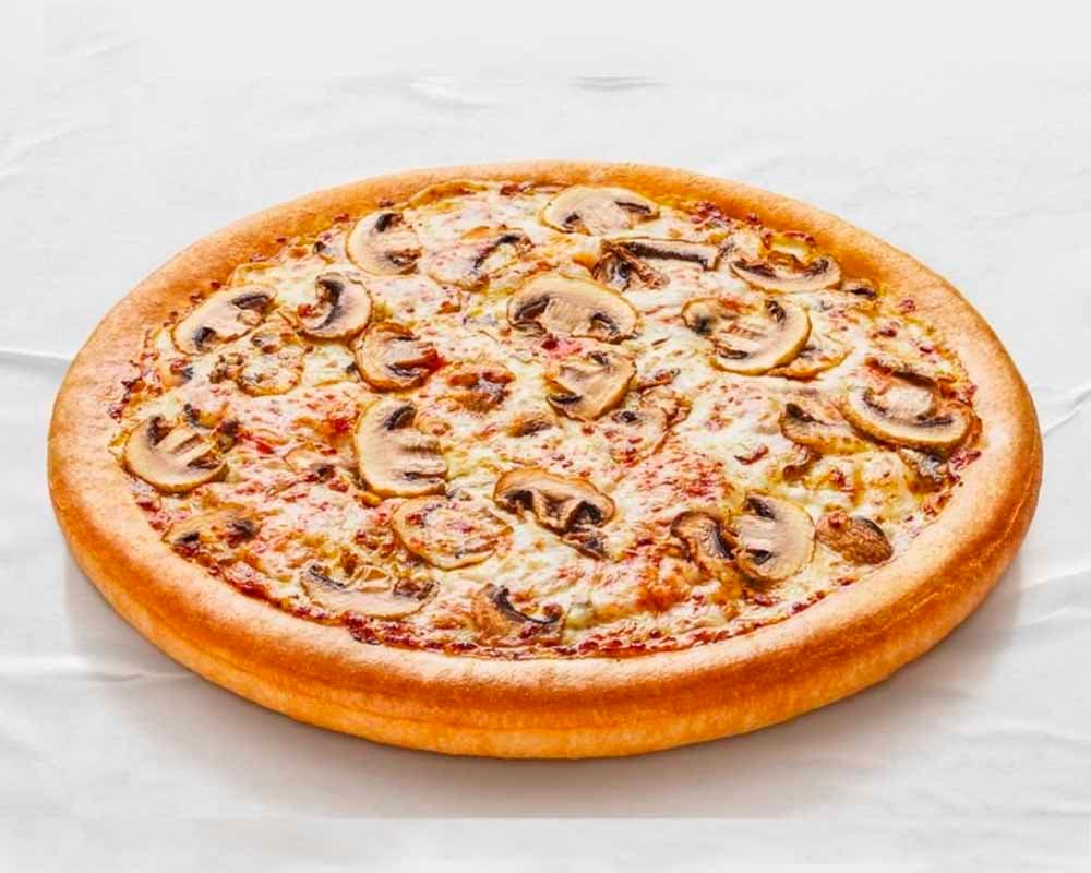 Chicken Mushroom ( Medium )
