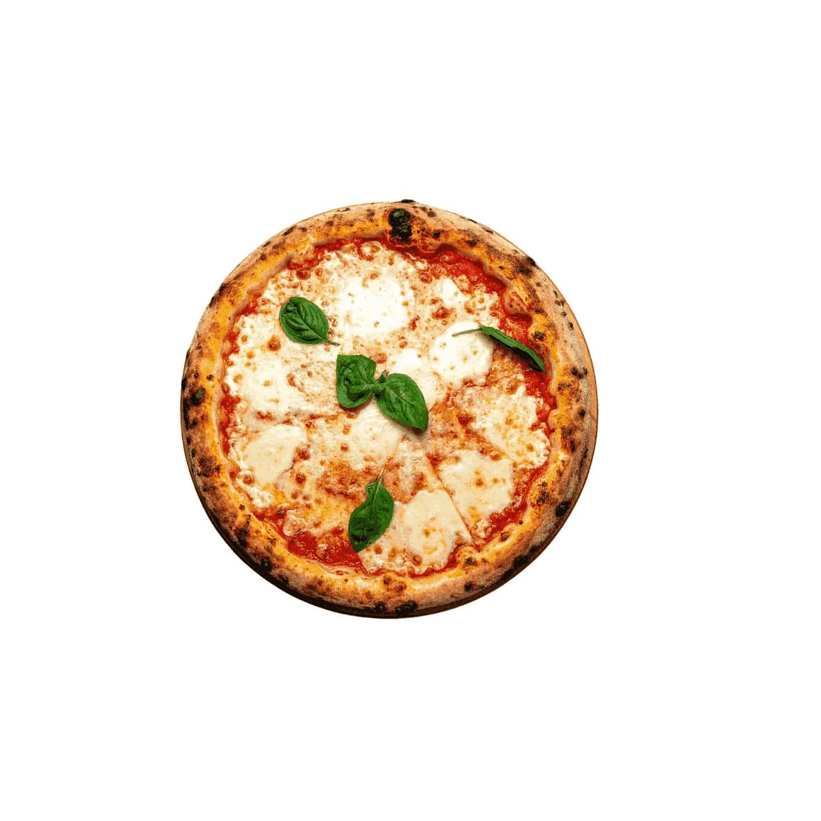Pizza Marguerite