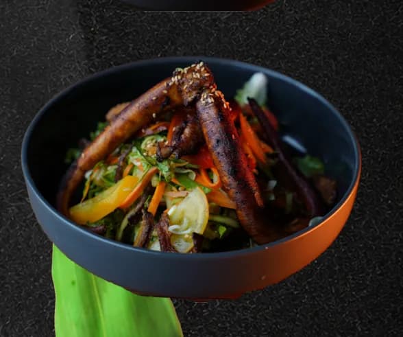 Japanese Poulpe Salad