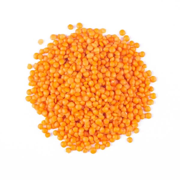 Lentille Corail 