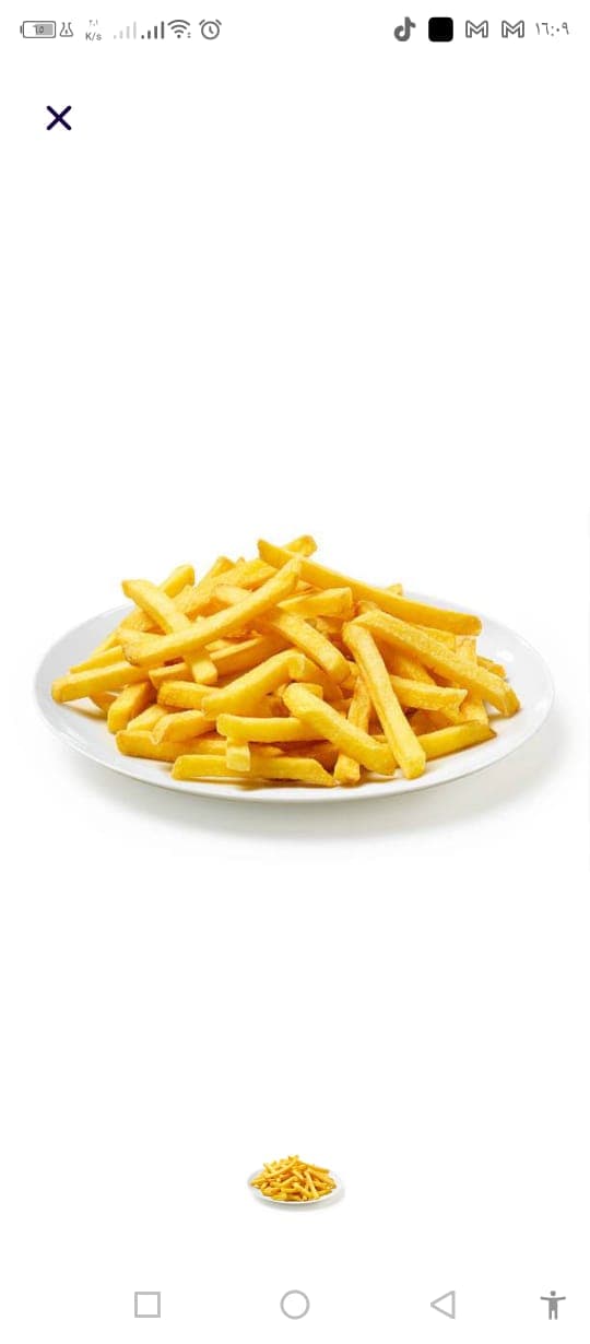 Barquette Frites Gm