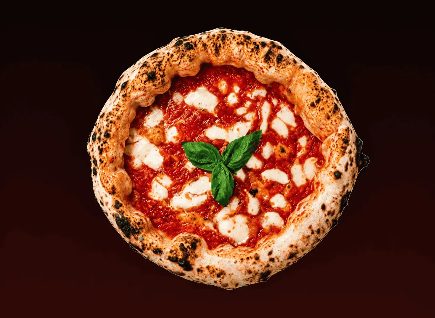 Pizza Marguerite