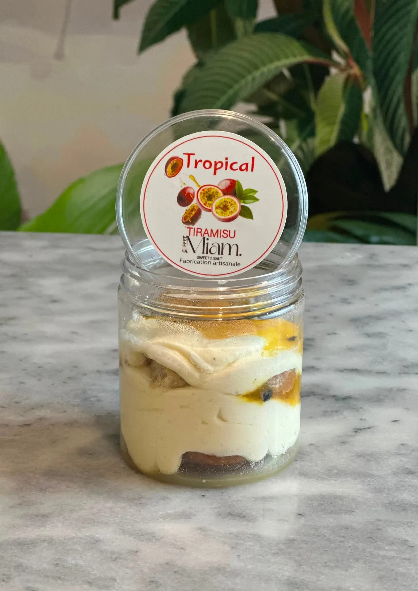 Tiramisu Tropical