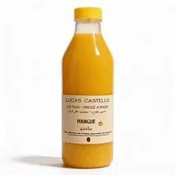 Jus Mangue 250ml