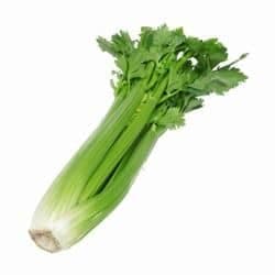 Céleri
