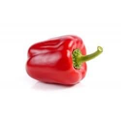 Poivron Rouge