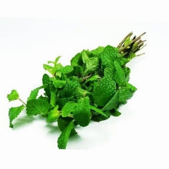 Menthe fraiche