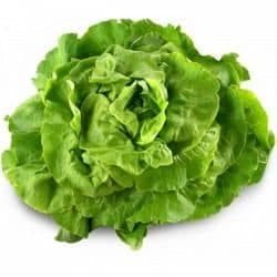 Salade Verte