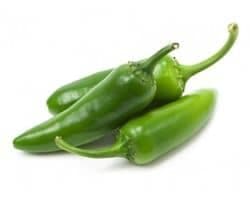 Poivron vert