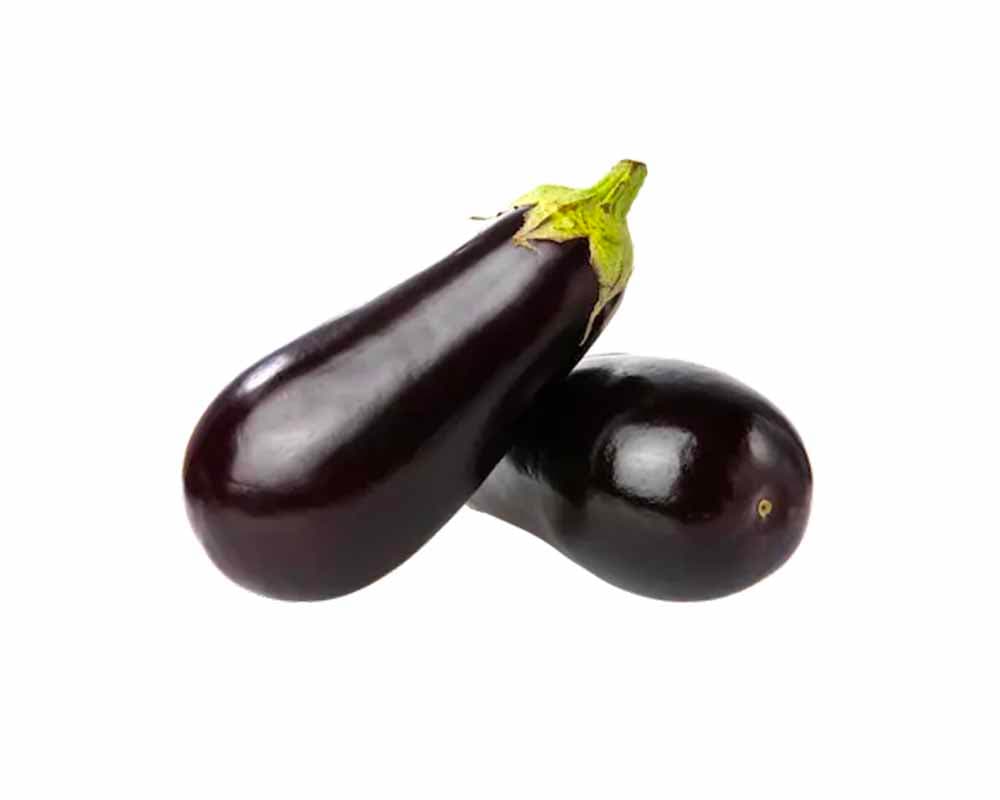 Aubergine